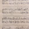 IMG-7442