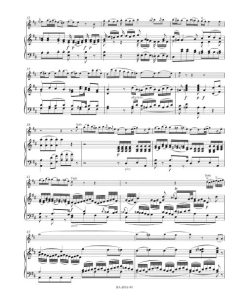 Concerto for Flute and Orchestra in G major K. 313 (285c) - Fl/ Pf - Image 3