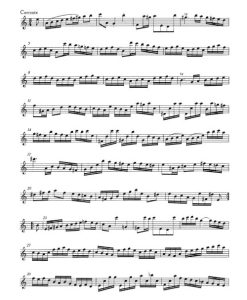 Partita A minor BWV 1013 - Flauta Solos - Image 3