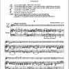 concertino g op11_kuchler_2