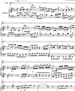 Concerto for Flute and Orchestra G major K.313 - Fl/ Pf - Image 2