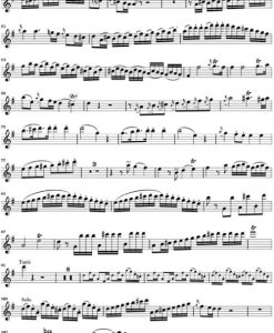 Concerto for Flute and Orchestra G major K.313 - Fl/ Pf - Image 5
