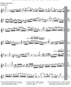 Concerto for Flute and Orchestra G major K.313 - Fl/ Pf - Image 6