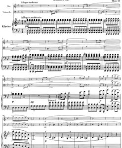 Trio g minor op. 63 - Pf/ Fl/ Vc - Image 2