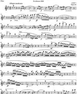 Trio g minor op. 63 - Pf/ Fl/ Vc - Image 3