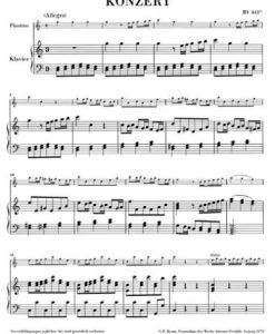 Flautino Concerto (Recorder/Flute) C major RV 443 - Image 2