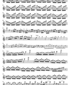 Flautino Concerto (Recorder/Flute) C major RV 443 - Image 5