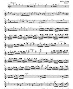 Flautino Concerto (Recorder/Flute) C major RV 443 - Image 6