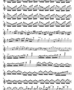 Flautino Concerto (Recorder/Flute) C major RV 443 - Image 7