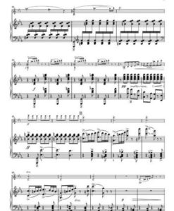 Sonata Do Menor Op.45  Vn/ Pf - Image 4