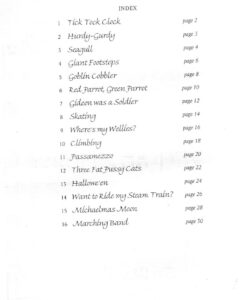 Red Parrot, Green Parrot – Teacher´s Book Violin - Image 2