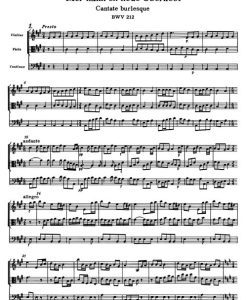 The Chamberlain is now our Squire BWV 212 "Peasant Cantata" - Image 2