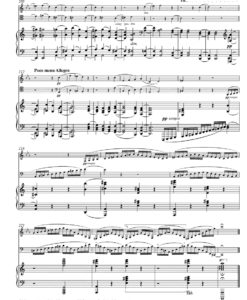 Trio - Clarinete (Viola), Violoncelo e Piano Op.114 - Image 3