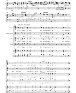 In nativitatem Domini canticum H. 416 (Vsc) - Image 3