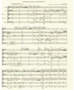 Peer Gynt Suite Suite No.1 -  Woodwind Quintet op. 46 - Image 2