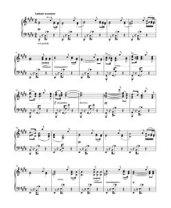 Sonata Piano in B-flat major D 960 - Image 3