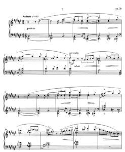 Complete Piano Sonatas Vol. 2 - Image 2