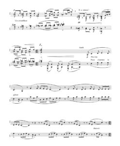 Embryons Desseches - Piano - Image 3