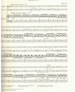 Piano Trio d minor op. 120 - Image 3