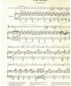 Une Larme - Cbx & piano - Image 3