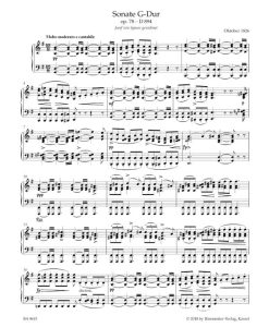 Sonata in G major op.78 - D 894 - Image 2