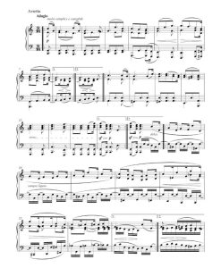 Sonata C minor op. 111 - Pf - Image 3