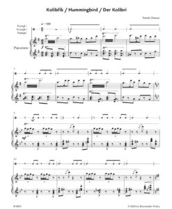 The Wilderness for the Beginner on Orchestral Percussion - Image 2