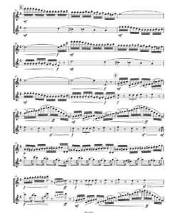 Nutcracker Suite - 2 flautas - Image 3