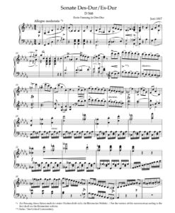 Piano Sonatas I - The Early Sonatas - Image 3
