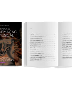 Ditados de Formação Musical - Excertos Orquestrais - Image 2