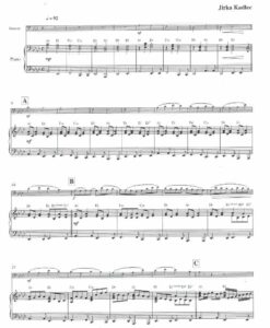 Pachelbel´s Canon - Fg/ Pf - Image 2