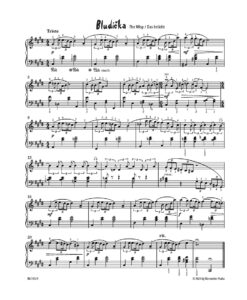 The Secret Garden - Modern Piano Nocturnes - Image 2