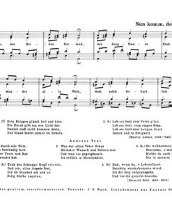 Corais Bach (46) - Image 2