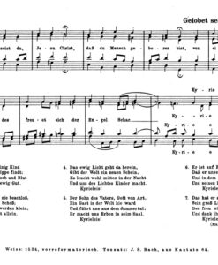 Corais Bach (46) - Image 3