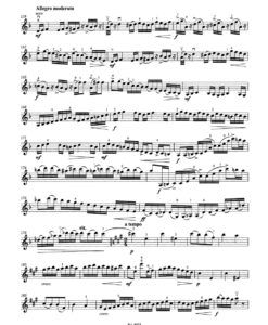 Concertino in Hungarian Style in A minor op. 21 - Image 3