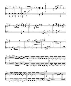 Fantasy C major op. 15 D 760 "Wanderer Fantasy"- Pf - Image 3