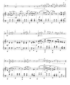 Adventures & Accolades: Cello - Image 2