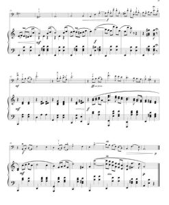 Adventures & Accolades: Cello - Image 4