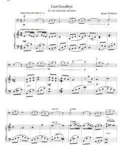 Adventures & Accolades: Cello - Image 7