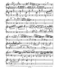Concerto for Piano and Orchestra no. 17 in G major K. 453 - Image 2