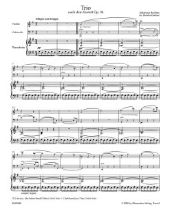 Trio for Violin, Violoncello and Piano - Image 2