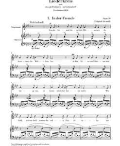 LIEDERKREIS op. 39 - Image 2