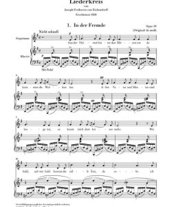 Liederkreis op. 39 - Image 2
